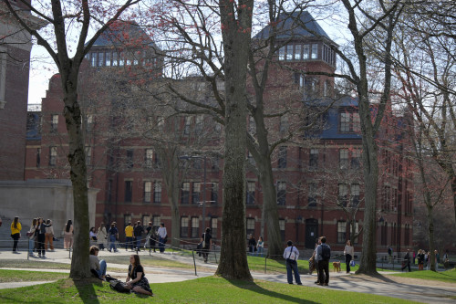 Harvard University puts $250 million to shore up research hit by Trump freeze on grants