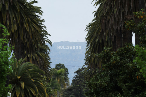 California legislature acts to keep film and TV production at home