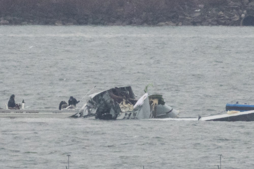 US transportation chief says he will ensure safety of DC air traffic