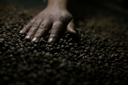 Brazil’s instant coffee sector seeks clarity on US decision to keep 50% tariff
