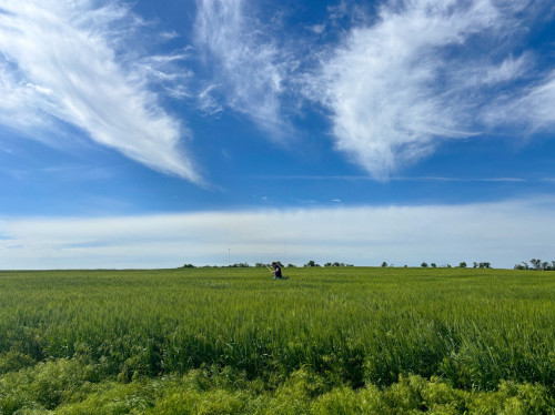 Bayer takes its multi-front battle on pesticide liability to Kansas