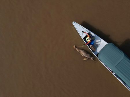 Impact of Amazon’s climate-driven drought may last until 2026